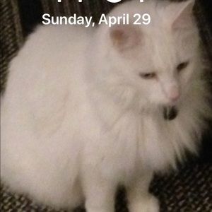 Meet your Posher, Chris